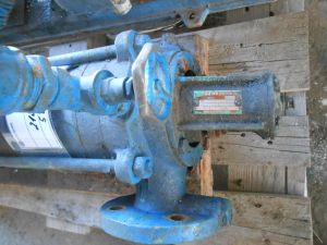 C:\fakepath\DSCN4262