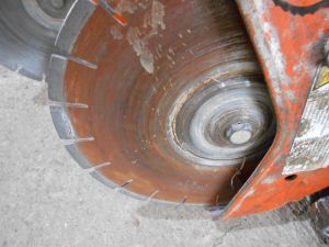 C:\fakepath\DSCN4507