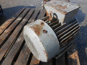 C:\fakepath\DSCN3012