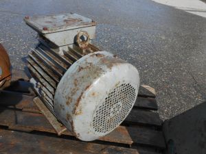 C:\fakepath\DSCN3013