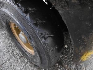 C:\fakepath\P1220821