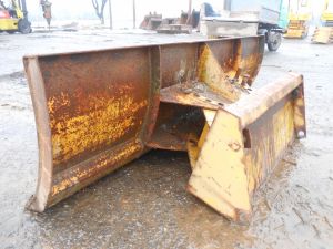 C:\fakepath\DSCN5452