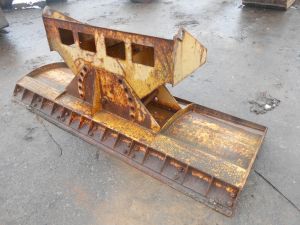 C:\fakepath\DSCN5437