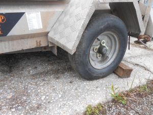 C:\fakepath\DSCN5836