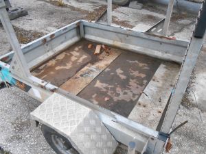 C:\fakepath\DSCN5837