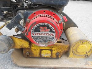 C:\fakepath\DSCN5972