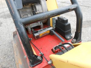 C:\fakepath\DSCN6953