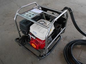 C:\fakepath\DSCN7710