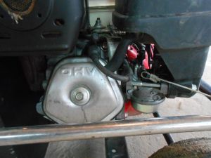 C:\fakepath\DSCN7713