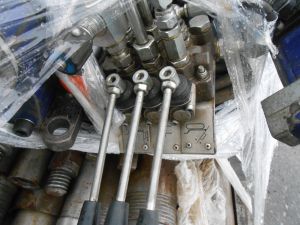 C:\fakepath\DSCN7730