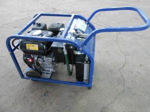 C:\fakepath\DSCN7612