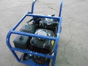 C:\fakepath\DSCN7613