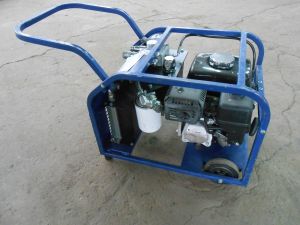 C:\fakepath\DSCN7615