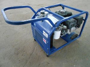 C:\fakepath\DSCN7616