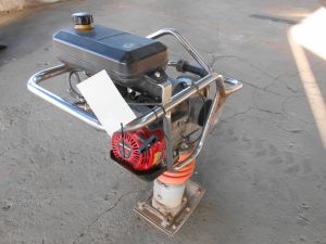 C:\fakepath\DSCN7240