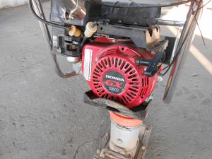 C:\fakepath\DSCN7241