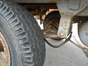 C:\fakepath\DSCN8065