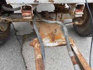 C:\fakepath\DSCN8067