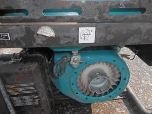 C:\fakepath\DSCN2940