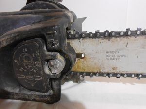 C:\fakepath\DSCN3375