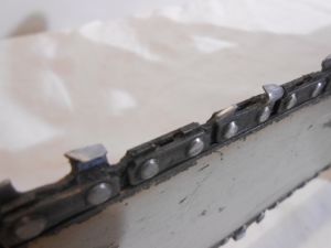 C:\fakepath\DSCN3378