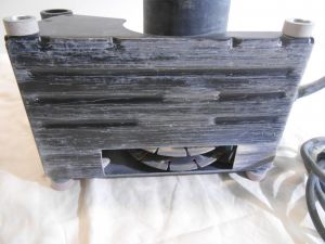 C:\fakepath\DSCN4030