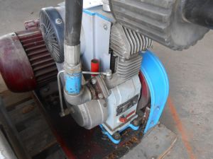 C:\fakepath\DSCN4209