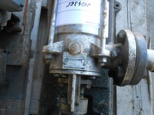 C:\fakepath\DSCN4268