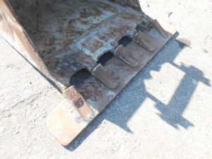 C:\fakepath\DSCN4630