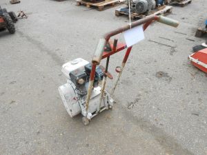 C:\fakepath\DSCN4934