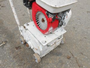 C:\fakepath\DSCN4935