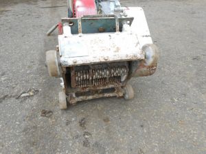 C:\fakepath\DSCN4936