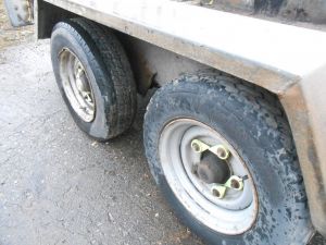 C:\fakepath\DSCN4709