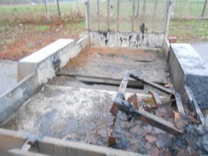 C:\fakepath\DSCN4711