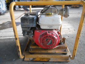 C:\fakepath\DSCN3835