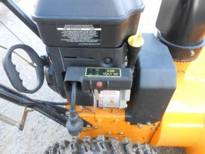 C:\fakepath\DSCN4840