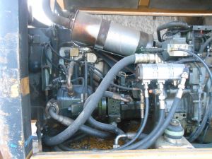 C:\fakepath\DSCN5271