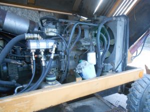 C:\fakepath\DSCN5272