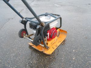 C:\fakepath\DSCN5365