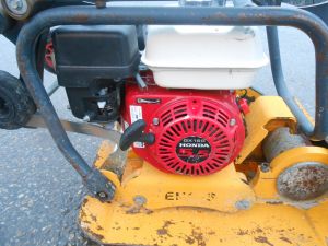 C:\fakepath\DSCN5367