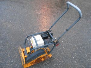 C:\fakepath\DSCN5368