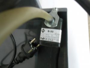 C:\fakepath\DSCN5319