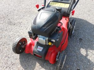 C:\fakepath\dscn6349