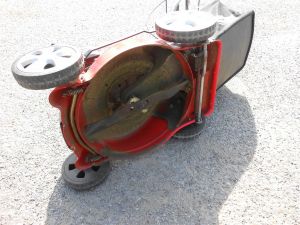 C:\fakepath\dscn6351