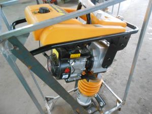 C:\fakepath\DSCN7622