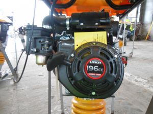 C:\fakepath\DSCN7624