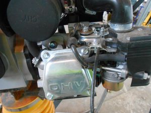 C:\fakepath\DSCN7625