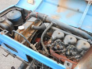 C:\fakepath\DSCN8049