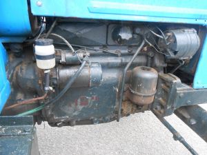 C:\fakepath\DSCN8053