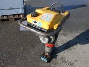 C:\fakepath\DSCN3145